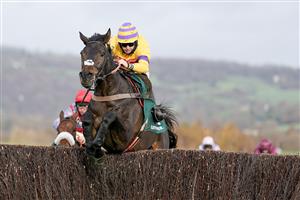 CHELTENHAM, ENGLAND - NOVEMBER 13: Bryan Carver riding Magic Saint clear the last to win The Mucking Brilliant Paddy Power Handicap Chase at Cheltenham Racecourse on November 13, 2020 in Cheltenham, England. Owners are allowed to attend if they have a runner at the meeting otherwise racing remains behind closed doors to the public due to the Coronavirus pandemic. (Photo by Alan Crowhurst/Getty Images)