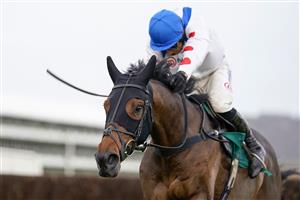 CHELTENHAM, ENGLAND - NOVEMBER 13: Harry Skelton riding Protektorat clear the last to win The SSS Super Alloys Supports Racing Welfare Novices' Chase at Cheltenham Racecourse on November 13, 2020 in Cheltenham, England. Owners are allowed to attend if they have a runner at the meeting otherwise racing remains behind closed doors to the public due to the Coronavirus pandemic. (Photo by Alan Crowhurst/Getty Images)