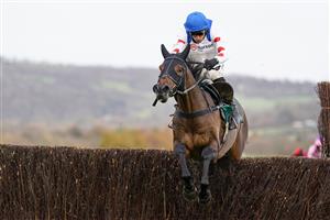 CHELTENHAM, ENGLAND - NOVEMBER 13: Harry Skelton riding Protektorat clear the last to win The SSS Super Alloys Supports Racing Welfare Novices' Chase at Cheltenham Racecourse on November 13, 2020 in Cheltenham, England. Owners are allowed to attend if they have a runner at the meeting otherwise racing remains behind closed doors to the public due to the Coronavirus pandemic. (Photo by Alan Crowhurst/Getty Images)