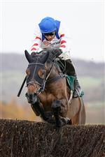 CHELTENHAM, ENGLAND - NOVEMBER 13: Harry Skelton riding Protektorat clear the last to win The SSS Super Alloys Supports Racing Welfare Novices' Chase at Cheltenham Racecourse on November 13, 2020 in Cheltenham, England. Owners are allowed to attend if they have a runner at the meeting otherwise racing remains behind closed doors to the public due to the Coronavirus pandemic. (Photo by Alan Crowhurst/Getty Images)