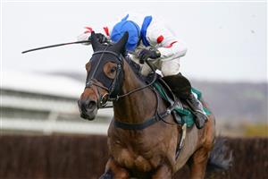 CHELTENHAM, ENGLAND - NOVEMBER 13: Harry Skelton riding Protektorat clear the last to win The SSS Super Alloys Supports Racing Welfare Novices' Chase at Cheltenham Racecourse on November 13, 2020 in Cheltenham, England. Owners are allowed to attend if they have a runner at the meeting otherwise racing remains behind closed doors to the public due to the Coronavirus pandemic. (Photo by Alan Crowhurst/Getty Images)