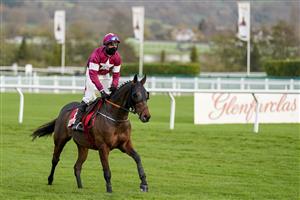 CHELTENHAM, ENGLAND - NOVEMBER 13: Robbie Power riding Tiger Roll after being pulled up in The Glenfarclas Cross Country Handicap Chase at Cheltenham Racecourse on November 13, 2020 in Cheltenham, England. Owners are allowed to attend if they have a runner at the meeting otherwise racing remains behind closed doors to the public due to the Coronavirus pandemic. (Photo by Alan Crowhurst/Getty Images)