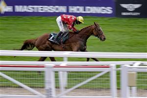 CHELTENHAM, ENGLAND - NOVEMBER 14: Paddy Brennan riding Stimulating Song win The Paddy Power First Millionaire Qualifier Intermediate Handicap Hurdle at Cheltenham Racecourse on November 14, 2020 in Cheltenham, England. Owners are allowed to attend if they have a runner at the meeting otherwise racing remains behind closed doors to the public due to the Coronavirus pandemic. (Photo by Alan Crowhurst/Getty Images)