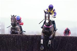 CHELTENHAM, ENGLAND - NOVEMBER 14: Richard Patrick riding Storm Control clear the last to win The South West Syndicate Handicap Chase at Cheltenham Racecourse on November 14, 2020 in Cheltenham, England. Owners are allowed to attend if they have a runner at the meeting otherwise racing remains behind closed doors to the public due to the Coronavirus pandemic. (Photo by Alan Crowhurst/Getty Images)