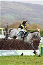 CHELTENHAM, ENGLAND - NOVEMBER 14: Robbie Power riding Eldorado Allen clear the last to win The From The Horse's Mouth Podcast Novices' Chase at Cheltenham Racecourse on November 14, 2020 in Cheltenham, England. Owners are allowed to attend if they have a runner at the meeting otherwise racing remains behind closed doors to the public due to the Coronavirus pandemic. (Photo by Alan Crowhurst/Getty Images)