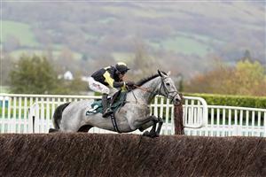 CHELTENHAM, ENGLAND - NOVEMBER 14: Robbie Power riding Eldorado Allen clear the last to win The From The Horse's Mouth Podcast Novices' Chase at Cheltenham Racecourse on November 14, 2020 in Cheltenham, England. Owners are allowed to attend if they have a runner at the meeting otherwise racing remains behind closed doors to the public due to the Coronavirus pandemic. (Photo by Alan Crowhurst/Getty Images)