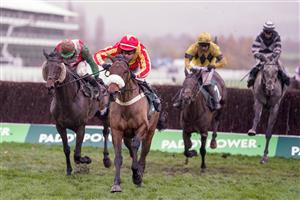 CHELTENHAM, ENGLAND - NOVEMBER 14: Tom O'Brien riding Coole Cody (red/yellow) clear the last to win The Paddy Power Gold Cup Handicap Chase at Cheltenham Racecourse on November 14, 2020 in Cheltenham, England. Owners are allowed to attend if they have a runner at the meeting otherwise racing remains behind closed doors to the public due to the Coronavirus pandemic. (Photo by Alan Crowhurst/Getty Images)