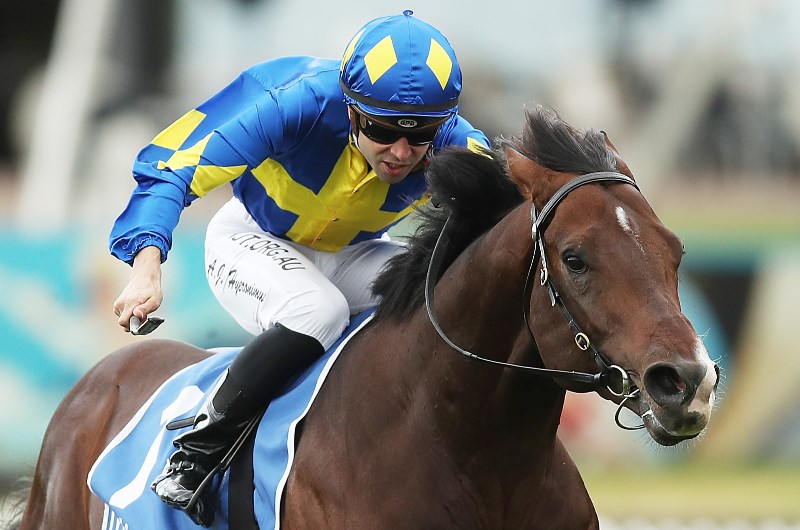 The Gong Betting Odds