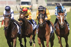 NEWCASTLE, AUSTRALIA - NOVEMBER 14: Tom Sherry on Super wins race 5 The HGungerford Hill Benchmark 78 Handicap during Racing at Newcastle Racecourse on November 14, 2020 in Newcastle, Australia. (Photo by Mark Evans/Getty Images)