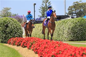 NEWCASTLE, AUSTRALIA - NOVEMBER 14: Rachel King on Sliders returns to scale after winning race 1 the Sage Painting Max Lees Classic during Racing at Newcastle Racecourse on November 14, 2020 in Newcastle, Australia. (Photo by Mark Evans/Getty Images)