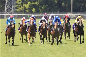 NEWCASTLE, AUSTRALIA - NOVEMBER 14: Rachel King on Sliders (blue) wins race 1 the Sage Painting Max Lees Classic during Racing at Newcastle Racecourse on November 14, 2020 in Newcastle, Australia. (Photo by Mark Evans/Getty Images)