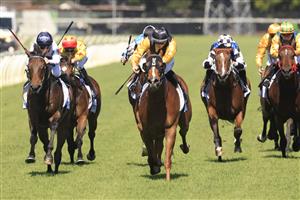 NEWCASTLE, AUSTRALIA - NOVEMBER 14: Tom Sherry on Super wins race 5 The HGungerford Hill Benchmark 78 Handicap during Racing at Newcastle Racecourse on November 14, 2020 in Newcastle, Australia. (Photo by Mark Evans/Getty Images)