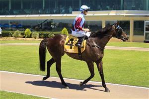NEWCASTLE, AUSTRALIA - NOVEMBER 14: Jason Collett returns to scale after winning race 3 the Senpos Point Of Sale Benchmark 88 Handicap on Laure Me In during Racing at Newcastle Racecourse on November 14, 2020 in Newcastle, Australia. (Photo by Mark Evans/Getty Images)