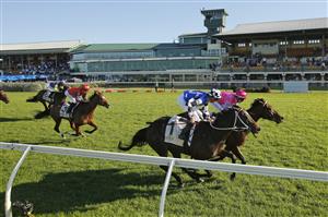 NEWCASTLE, AUSTRALIA - NOVEMBER 14: Brenton Avdulla on Great News wins race 8 the Bass Floor F&M Benchmark 78 Handicap during Racing at Newcastle Racecourse on November 14, 2020 in Newcastle, Australia. (Photo by Mark Evans/Getty Images)