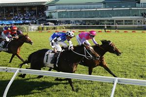 NEWCASTLE, AUSTRALIA - NOVEMBER 14: Brenton Avdulla on Great News wins race 8 the Bass Floor F&M Benchmark 78 Handicap during Racing at Newcastle Racecourse on November 14, 2020 in Newcastle, Australia. (Photo by Mark Evans/Getty Images)