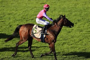 NEWCASTLE, AUSTRALIA - NOVEMBER 14: Brenton Avdulla returns to scale after winning race 8 theBass Floor F&M Benchmark 78 Handicap during Racing at Newcastle Racecourse on November 14, 2020 in Newcastle, Australia. (Photo by Mark Evans/Getty Images)