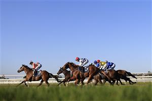 NEWCASTLE, AUSTRALIA - NOVEMBER 14: James McDonald on Through The Cracks wins race 9 the Hunter Valley Premium Meats T-Bone Steaks Benchmark 88 Handicapduring Racing at Newcastle Racecourse on November 14, 2020 in Newcastle, Australia. (Photo by Mark Evans/Getty Images)