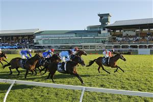 NEWCASTLE, AUSTRALIA - NOVEMBER 14: James McDonald on Through The Cracks wins race 9 the Hunter Valley Premium Meats T-Bone Steaks Benchmark 88 Handicapduring Racing at Newcastle Racecourse on November 14, 2020 in Newcastle, Australia. (Photo by Mark Evans/Getty Images)