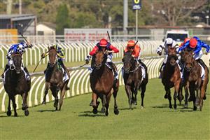 NEWCASTLE, AUSTRALIA - NOVEMBER 14: Nash Rawiller on Sweet Deal wins race 7 the TAB Hunter during Racing at Newcastle Racecourse on November 14, 2020 in Newcastle, Australia. (Photo by Mark Evans/Getty Images)