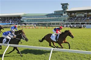 NEWCASTLE, AUSTRALIA - NOVEMBER 14: Nash Rawiller on Sweet Deal wins race 7 the TAB Hunter during Racing at Newcastle Racecourse on November 14, 2020 in Newcastle, Australia. (Photo by Mark Evans/Getty Images)