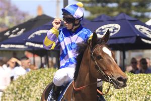 NEWCASTLE, AUSTRALIA - NOVEMBER 14: Tim Clark on Bring The Ransom returns to scale after winning race 4 the Guardian Safety Solutions 3YO & $YO Benchmark 72 Handicap during Racing at Newcastle Racecourse on November 14, 2020 in Newcastle, Australia. (Photo by Mark Evans/Getty Images)