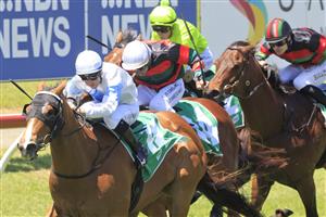 NEWCASTLE, AUSTRALIA - NOVEMBER 14: Tommy Berry on King's Trust wins Race 2 the TAB Highway Handicap at Newcastle Racecourse on November 14, 2020. (Photo by Getty Images)