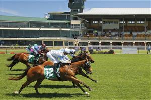 NEWCASTLE, AUSTRALIA - NOVEMBER 14: Tommy Berry on King's Trust wins Race 2 the TAB Highway Handicap at Newcastle Racecourse on November 14, 2020. (Photo by Getty Images)
