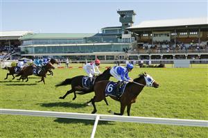 NEWCASTLE, AUSTRALIA - NOVEMBER 14: Tommy Berry on The Elanora wins race 6 the New Zealand Bloodstock NJC 3YO Spring Stakes during Racing at Newcastle Racecourse on November 14, 2020 in Newcastle, Australia. (Photo by Mark Evans/Getty Images)