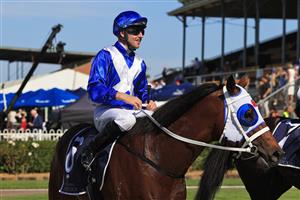 NEWCASTLE, AUSTRALIA - NOVEMBER 14: Tommy Berry on The Elanora returns to scale after winning race 6 the New Zealand Bloodstock NJC 3YO Spring Stakes during Racing at Newcastle Racecourse on November 14, 2020 in Newcastle, Australia. (Photo by Mark Evans/Getty Images)