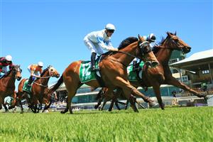 NEWCASTLE, AUSTRALIA - NOVEMBER 14: Tommy Berry on King's Trust wins Race 2 the TAB Highway Handicap at Newcastle Racecourse on November 14, 2020. (Photo by Getty Images)