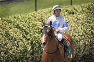NEWCASTLE, AUSTRALIA - NOVEMBER 14: Tommy Berry on King's Trust wins Race 2 the TAB Highway Handicap at Newcastle Racecourse on November 14, 2020. (Photo by Getty Images)
