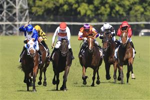 NEWCASTLE, AUSTRALIA - NOVEMBER 14: Tommy Berry on The Elanora (L) wins race 6 the New Zealand Bloodstock NJC 3YO Spring Stakes during Racing at Newcastle Racecourse on November 14, 2020 in Newcastle, Australia. (Photo by Mark Evans/Getty Images)