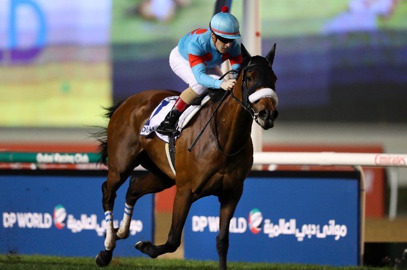 Japan Cup Tips