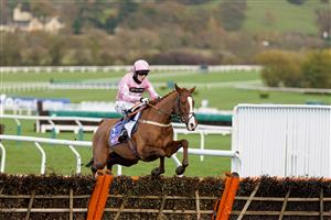 CHELTENHAM, ENGLAND - NOVEMBER 15: Harry Bannister riding For Pleasure on their way to winning The Sky Bet Supreme Trial Novices' Hurdle at Cheltenham Racecourse on November 15, 2020 in Cheltenham, England. Owners are allowed to attend if they have a runner at the meeting otherwise racing remains behind closed doors to the public due to the Coronavirus pandemic. (Photo by Alan Crowhurst/Getty Images)
