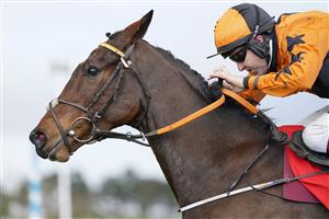CHELTENHAM, ENGLAND - NOVEMBER 15: Aidan Coleman riding Put The Kettle On clear the last to win The Shloer Chase at Cheltenham Racecourse on November 15, 2020 in Cheltenham, England. Owners are allowed to attend if they have a runner at the meeting otherwise racing remains behind closed doors to the public due to the Coronavirus pandemic. (Photo by Alan Crowhurst/Getty Images)