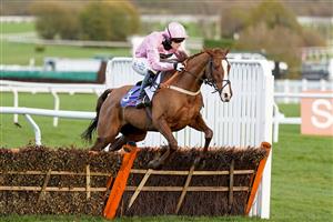 CHELTENHAM, ENGLAND - NOVEMBER 15: Harry Bannister riding For Pleasure clear the last to win The Sky Bet Supreme Trial Novices' Hurdle at Cheltenham Racecourse on November 15, 2020 in Cheltenham, England. Owners are allowed to attend if they have a runner at the meeting otherwise racing remains behind closed doors to the public due to the Coronavirus pandemic. (Photo by Alan Crowhurst/Getty Images)