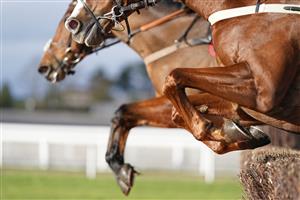 CHELTENHAM, ENGLAND - NOVEMBER 15: A general view as runners clear a fence at Cheltenham Racecourse on November 15, 2020 in Cheltenham, England. Owners are allowed to attend if they have a runner at the meeting otherwise racing remains behind closed doors to the public due to the Coronavirus pandemic. (Photo by Alan Crowhurst/Getty Images)