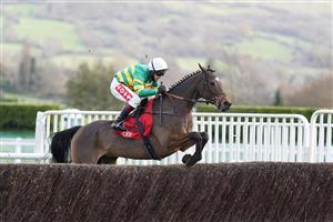 CHELTENHAM, ENGLAND - NOVEMBER 15: Richard Johnson riding Defi du Seuil in action before being pulled up during The Shloer Chase at Cheltenham Racecourse on November 15, 2020 in Cheltenham, England. Owners are allowed to attend if they have a runner at the meeting otherwise racing remains behind closed doors to the public due to the Coronavirus pandemic. (Photo by Alan Crowhurst/Getty Images)