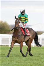 CHELTENHAM, ENGLAND - NOVEMBER 15: Richard Johnson riding Defi du Seuil pull up during The Shloer Chase at Cheltenham Racecourse on November 15, 2020 in Cheltenham, England. Owners are allowed to attend if they have a runner at the meeting otherwise racing remains behind closed doors to the public due to the Coronavirus pandemic. (Photo by Alan Crowhurst/Getty Images)