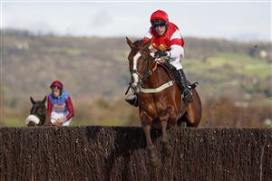 CHELTENHAM, ENGLAND - NOVEMBER 15: Robbie Power riding The Big Breakaway clear the last to win The mallardjewellers.com Novices' Chase at Cheltenham Racecourse on November 15, 2020 in Cheltenham, England. Owners are allowed to attend if they have a runner at the meeting otherwise racing remains behind closed doors to the public due to the Coronavirus pandemic. (Photo by Alan Crowhurst/Getty Images)