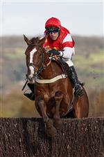 CHELTENHAM, ENGLAND - NOVEMBER 15: Robbie Power riding The Big Breakaway clear the last to win The mallardjewellers.com Novices' Chase at Cheltenham Racecourse on November 15, 2020 in Cheltenham, England. Owners are allowed to attend if they have a runner at the meeting otherwise racing remains behind closed doors to the public due to the Coronavirus pandemic. (Photo by Alan Crowhurst/Getty Images)