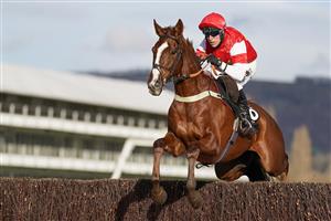 CHELTENHAM, ENGLAND - NOVEMBER 15: Robbie Power riding The Big Breakaway on their way to winning The mallardjewellers.com Novices' Chase at Cheltenham Racecourse on November 15, 2020 in Cheltenham, England. Owners are allowed to attend if they have a runner at the meeting otherwise racing remains behind closed doors to the public due to the Coronavirus pandemic. (Photo by Alan Crowhurst/Getty Images)