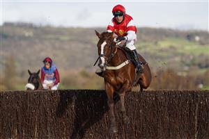 CHELTENHAM, ENGLAND - NOVEMBER 15: Robbie Power riding The Big Breakaway clear the last to win The mallardjewellers.com Novices' Chase at Cheltenham Racecourse on November 15, 2020 in Cheltenham, England. Owners are allowed to attend if they have a runner at the meeting otherwise racing remains behind closed doors to the public due to the Coronavirus pandemic. (Photo by Alan Crowhurst/Getty Images)