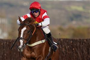 CHELTENHAM, ENGLAND - NOVEMBER 15: Robbie Power riding The Big Breakaway clear the last to win The mallardjewellers.com Novices' Chase at Cheltenham Racecourse on November 15, 2020 in Cheltenham, England. Owners are allowed to attend if they have a runner at the meeting otherwise racing remains behind closed doors to the public due to the Coronavirus pandemic. (Photo by Alan Crowhurst/Getty Images)