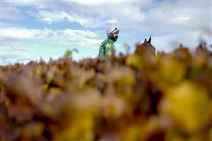 CHELTENHAM, ENGLAND - NOVEMBER 15: Robbie Power makes his way to the track at Cheltenham Racecourse on November 15, 2020 in Cheltenham, England. Owners are allowed to attend if they have a runner at the meeting otherwise racing remains behind closed doors to the public due to the Coronavirus pandemic. (Photo by Alan Crowhurst/Getty Images)