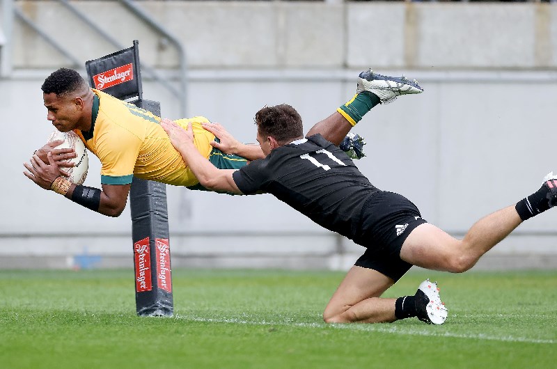 Australia vs new zealand rugby union