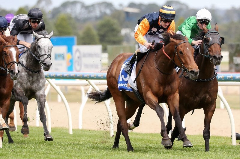 Tatura Tips