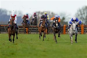 WINCANTON, ENGLAND - NOVEMBER 19: Harry Cobden riding Zyon (blue/pink) clear the last to win The Lenny Roberts Memorial Trophy Novices' Hurdle (GBB Race) (Div 2) at Wincanton Racecourse on November 19, 2020 in Wincanton, England. Owners are allowed to attend if they have a runner at the meeting otherwise racing remains behind closed doors to the public due to the Coronavirus pandemic. (Photo by Alan Crowhurst/Getty Images)