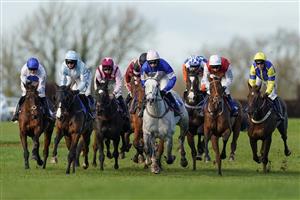 WINCANTON, ENGLAND - NOVEMBER 19: Harry Cobden riding Zyon (blue/pink) lead before going on to win The Lenny Roberts Memorial Trophy Novices' Hurdle (GBB Race) (Div 2) at Wincanton Racecourse on November 19, 2020 in Wincanton, England. Owners are allowed to attend if they have a runner at the meeting otherwise racing remains behind closed doors to the public due to the Coronavirus pandemic. (Photo by Alan Crowhurst/Getty Images)