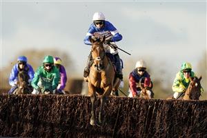 WINCANTON, ENGLAND - NOVEMBER 19: Harry Cobden riding Tamaroc De Mathan (blue/pink) clear the last to win The Visit racingtv.com Novices' Limited Handicap Chase at Wincanton Racecourse on November 19, 2020 in Wincanton, England. Owners are allowed to attend if they have a runner at the meeting otherwise racing remains behind closed doors to the public due to the Coronavirus pandemic. (Photo by Alan Crowhurst/Getty Images)
